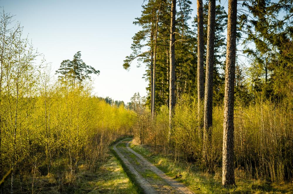 fot&#x2e;&#x20;Paweł&#x20;Książek