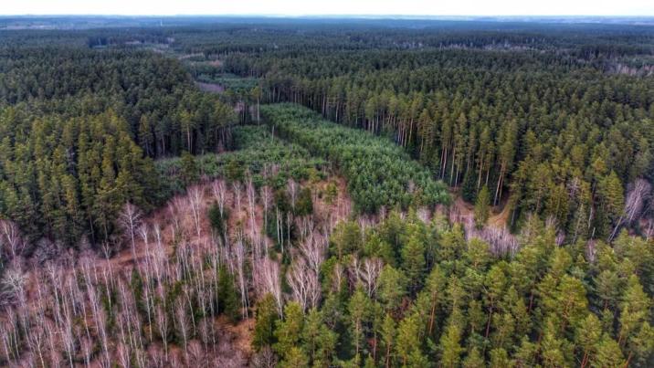 fot. Piotr Gołębiewski